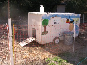 chicken tractor